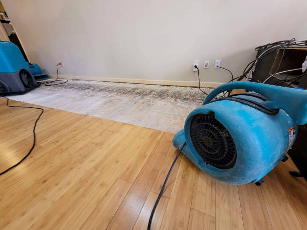 Professional Flood Damage Cleanup technician working in Chandler, TX